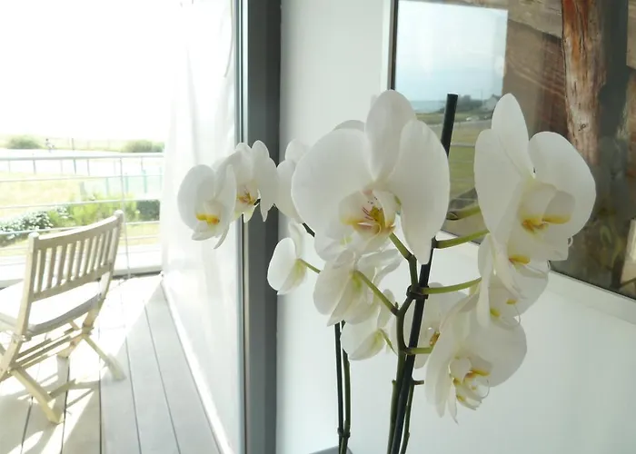 Ocean - Vue Mer Frühstückspension La Turballe