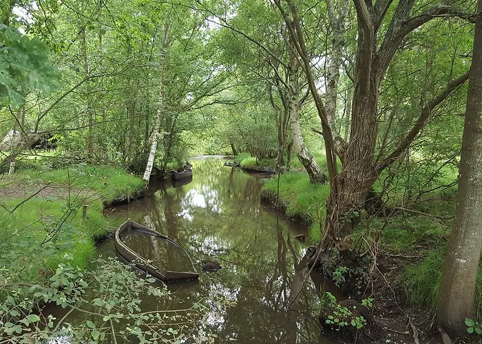 Ocean - Vue Mer Frühstückspension *