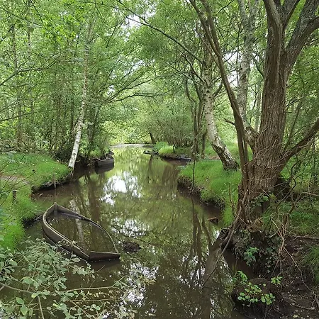 Ocean - Vue Mer Bed & Breakfast *